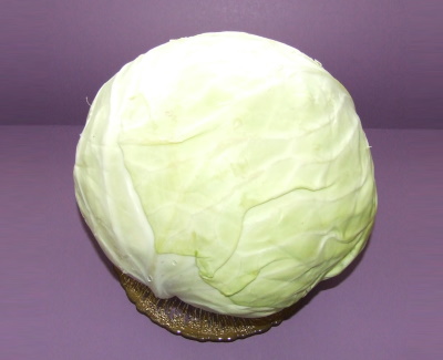 Cabbage - $2.50 (Highland Farms)