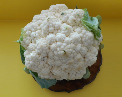 FoodWeek homepage